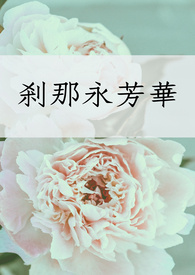 刹那永芳华