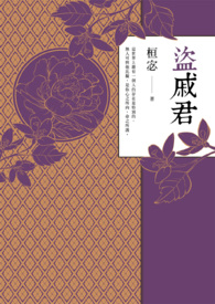 盗戚君