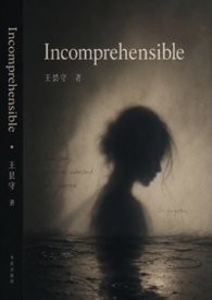 无法理解的（Incomprehensible)