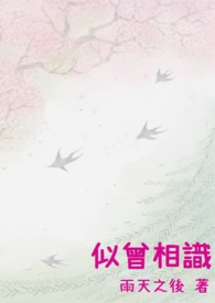 似曾相识