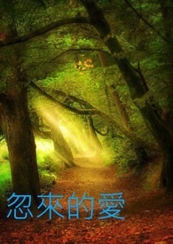 忽来的爱