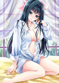 纯情主人俏女仆 第四集：凤凰的花嫁