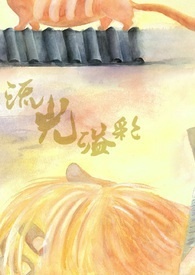 《流光溢彩》第八部