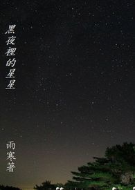 黑夜里的星星