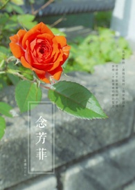念芳菲(短篇，已完结)