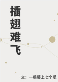 插翅难飞  （百合abo）