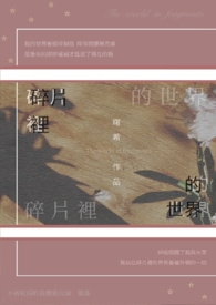 碎片里的世界