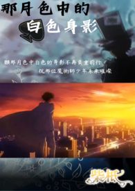 【怪盗基德】那月色中白色的身影