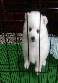 那时，甜点的芬芳
