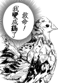 救命！我变成鸡了