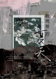 被埋葬的夏天
