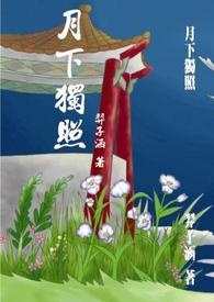【霹雳同人】月下独照