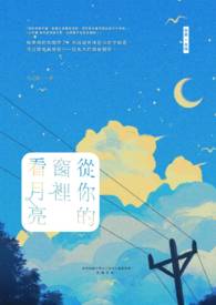 从你的窗里看月亮