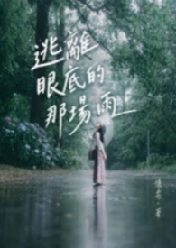 逃離眼底的那場雨