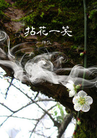 《拈花一笑番外》