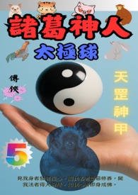 诸葛神人 太极球