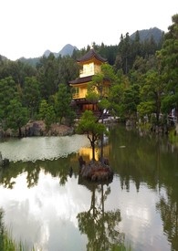 尘月缥缈赴沧溟