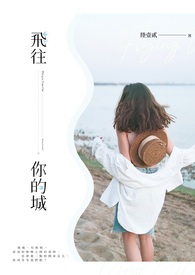 飞往你的城
