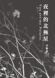 【BL耽美】夜里的北极星