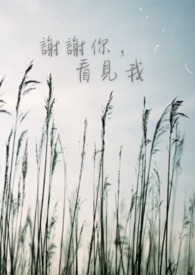 谢谢你，看见我