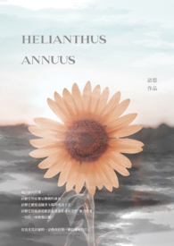 Helianthus annuus