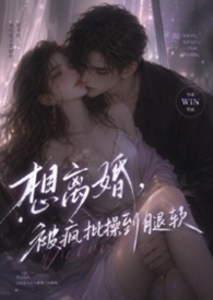 想离婚，被疯批操到腿软（1v1强制H）