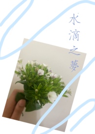 【说爱前，先分手】水滴之梦