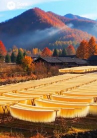 桃花源——梁山泊之影