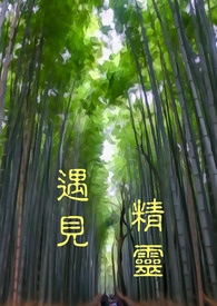 遇见精灵 第一部 月光石晶