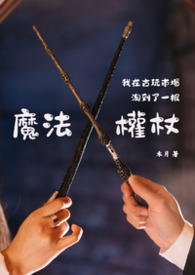 我在古玩市场淘到了一根魔法权杖