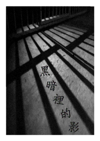 黑暗里的影