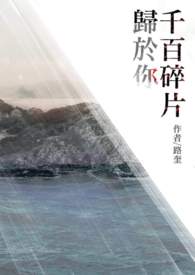 【完结】千百碎片归于你