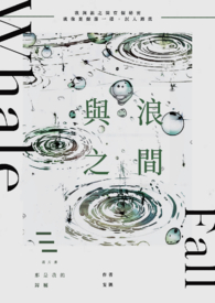 与浪之间
