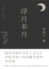 浮月非月（有伪骨科情节）