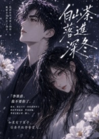 白山茶落进深冬