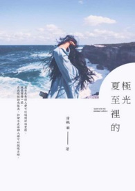 《夏至里的极光》