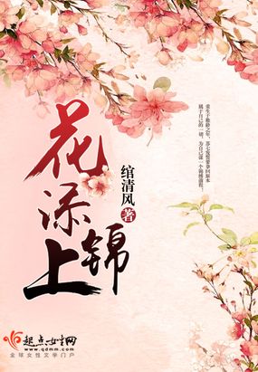 花添锦上