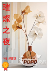 璀璨之夜