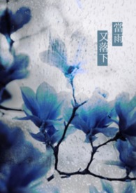 當雨又落下