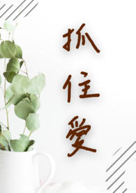 《抓住爱》BG | 都会 | 爱情 | 悬疑