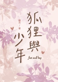 狐狸与少年