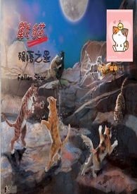 战猫首部曲-星力量II 殒落之星