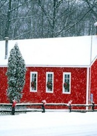 雪恋