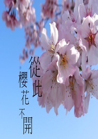 从此，樱花不开（完）