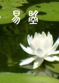 【天下】卦．易曌