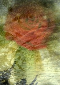 人间