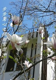 步步惊心之情回紫禁