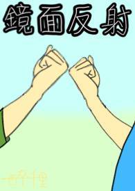 [闪11豪鬼]镜面反射