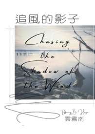 追风的影子