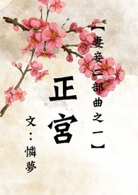 【BL】妻妾二部曲之一-正宫(修文完毕)